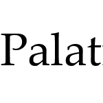 PalatinoLinotypeW01