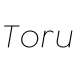 Torus Pro