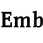 EmbossanovaW01-Bold