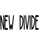 NEW DIVIDE