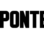 Ponter Bold