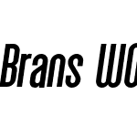 Brans-MediumItalic