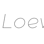 LoewW00-ThinItalic