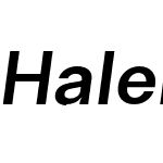 HalenoirText-DemiBoldObl