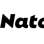 Natom Pro