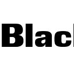 BlackGroteskW01-Black