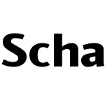 ScharW00-Heavy