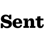 Sentinel Pro