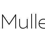 MullerW00-UltraLight