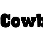 CowboyslangW00-Regular