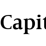 CapitoliumNewsW01-2SemiBold