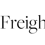 FreightBigW01-LightRegular