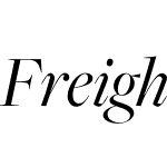 FreightBigW01-BookItalic