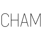 Chamelton 10 Display