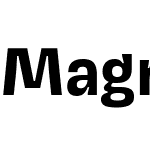 Magnet