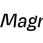 Magnet