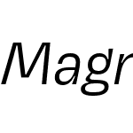 Magnet