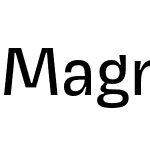 Magnet