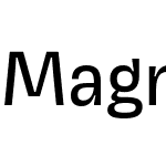 Magnet