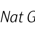 NatGroteskW00-LightItalic