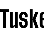 Tusker Grotesk