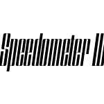 SpeedometerW01-300I