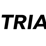 TRIAL Abrade Bold Italic