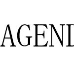 AGENDA人名正楷書体L1