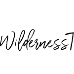 Wilderness Typeface