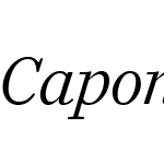 Caponi Slab Web Regular
