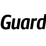 Guardian Sans Cond Web SB