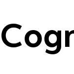 Cognizant Sans