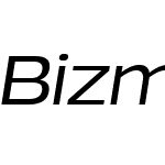 Bizmo