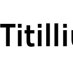 TitilliumMaps29L