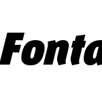 FontanaNDGgW03-BlackItalic