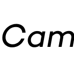 CamptonW00-BookItalic