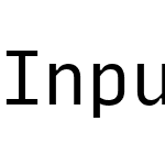 Input Sans Narrow