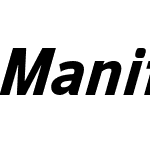 Manifold DSA