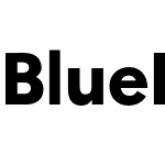 Blueberry Sans