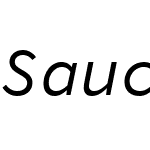 SauceCodePro Nerd Font Mono