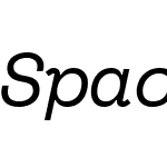SpaceMono Nerd Font Mono