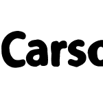 Carson Distorted