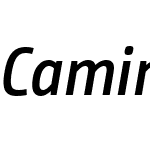 CamingoDosProSCdW03-SmBdIt