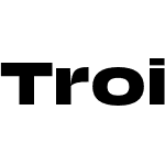 Trois Mille TRIAL Bold