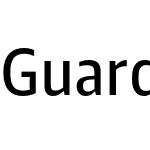 Guardian Agate Sans