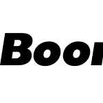 BoonTook