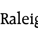 Raleigh BT Medium