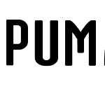 Puma 2014