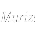 MurizaW05-HairlineItalic