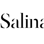 Salinas Stencil